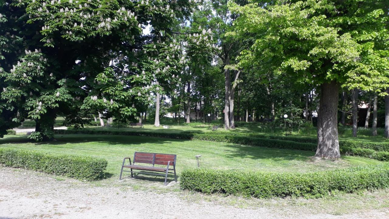 Dwor Strzyzew Bed & Breakfast Zelazowa Wola Exterior foto