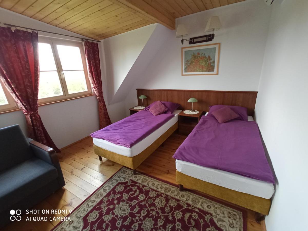 Dwor Strzyzew Bed & Breakfast Zelazowa Wola Exterior foto
