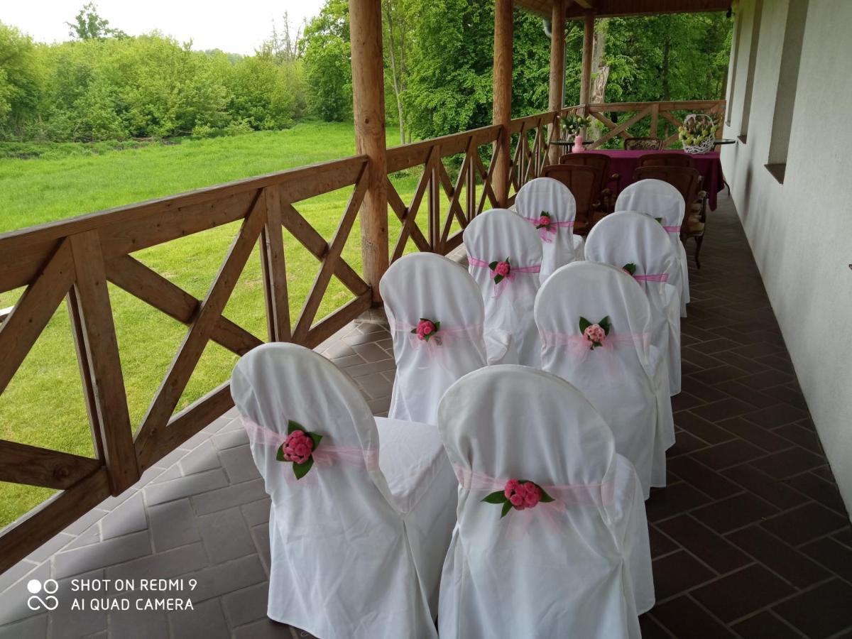 Dwor Strzyzew Bed & Breakfast Zelazowa Wola Exterior foto